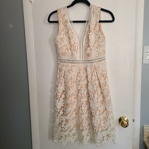 Romeo and Juliet Couture Romantic Elegant Beautiful Neutral Lace Dress Size M